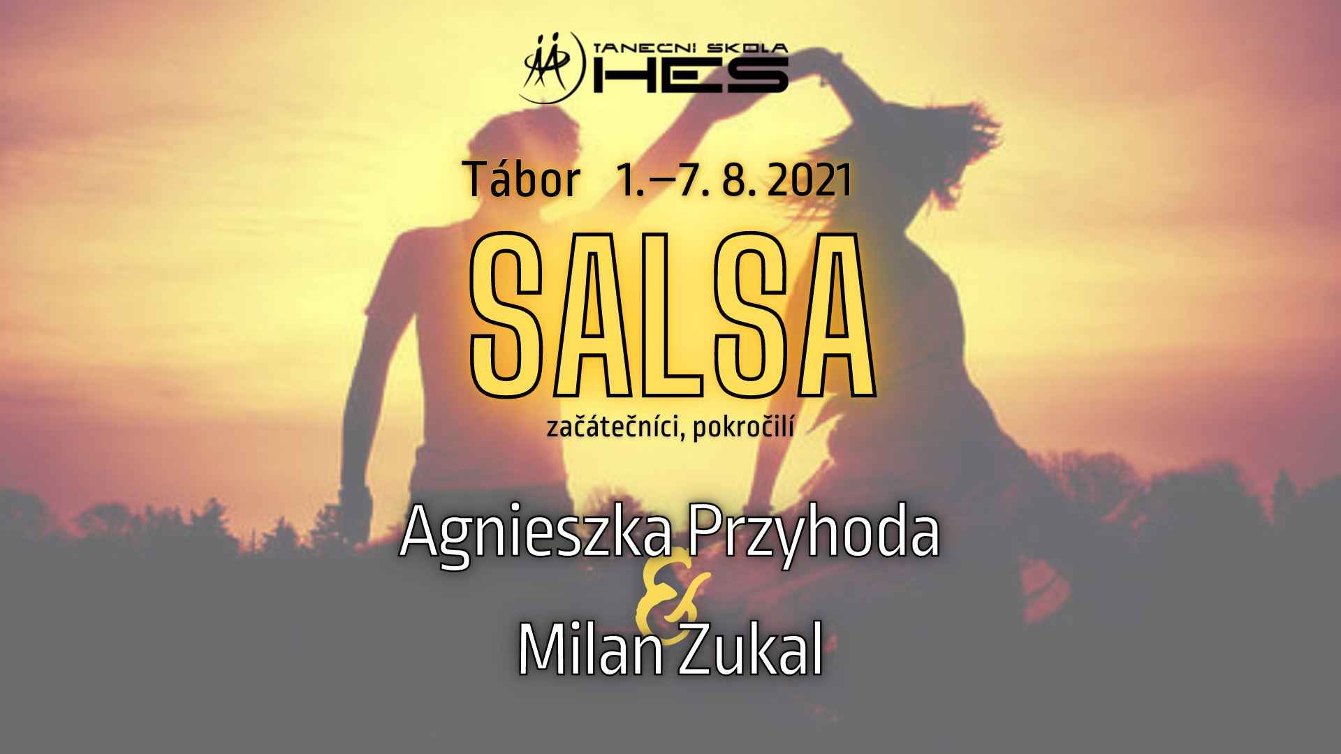 SALSA workshop