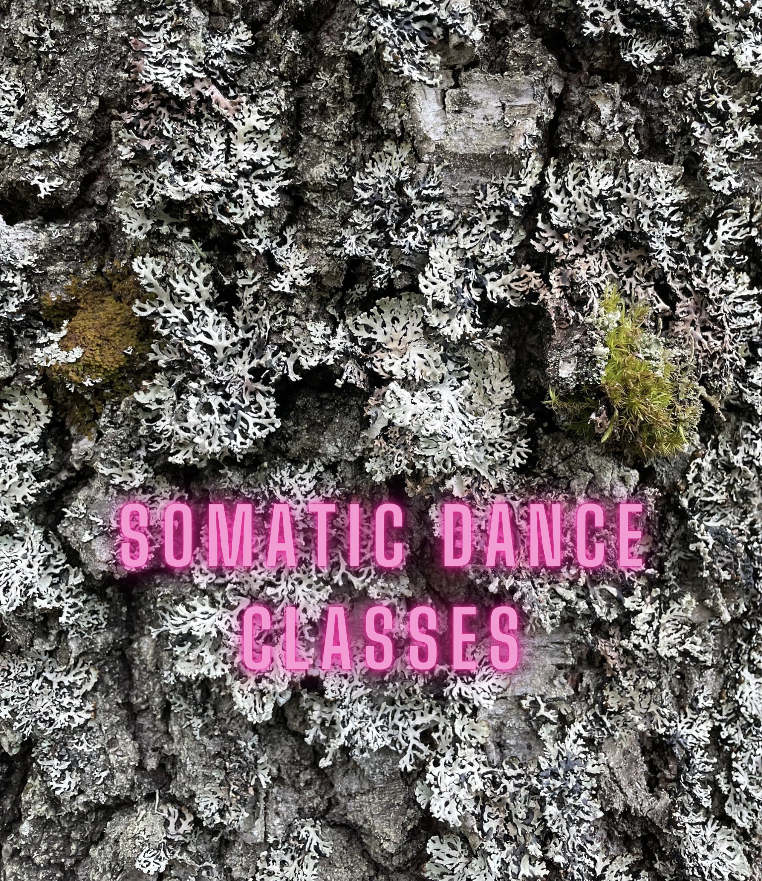 Somatic Dance Classes