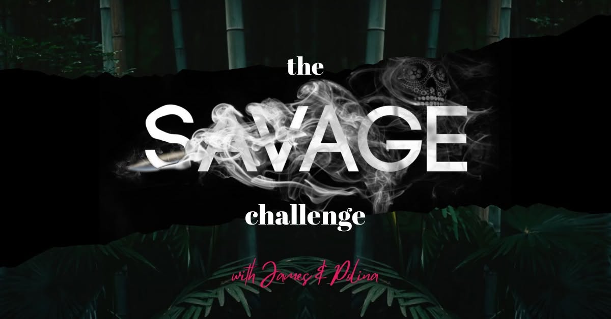 the SAVAGE challenge workshop🔥