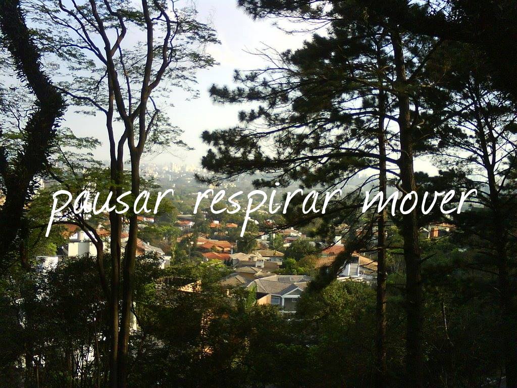 Pausar respirar mover - Mirante da Lapa