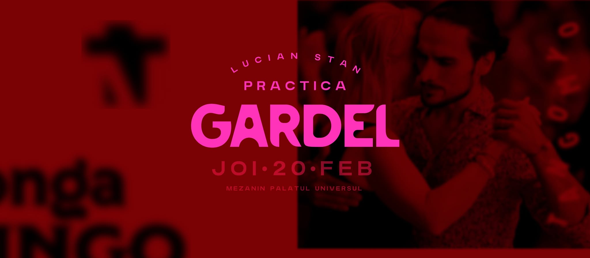 Practica Gardel - 20 februarie - Lucian Stan