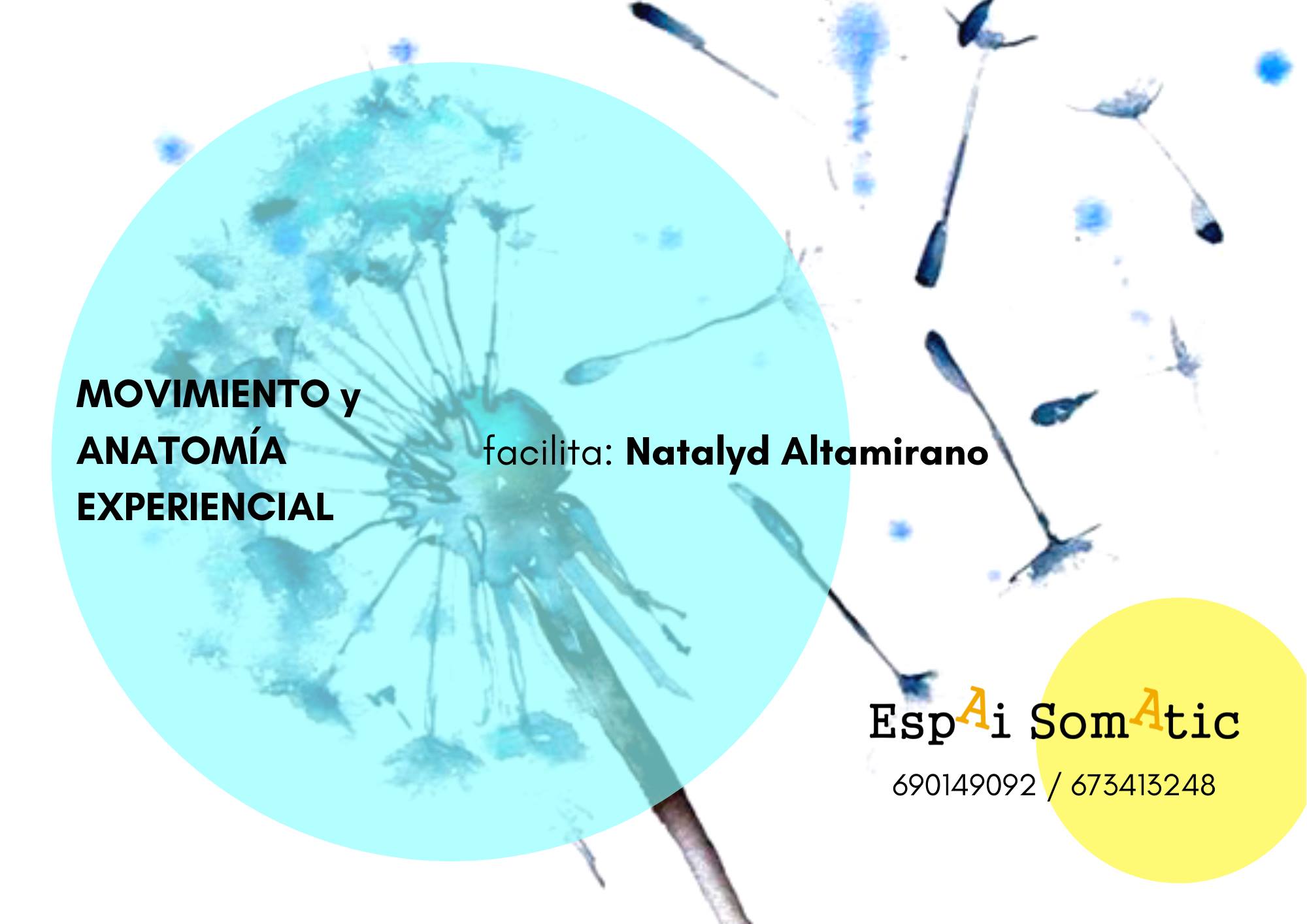Movimiento y Anatomia Experiencial