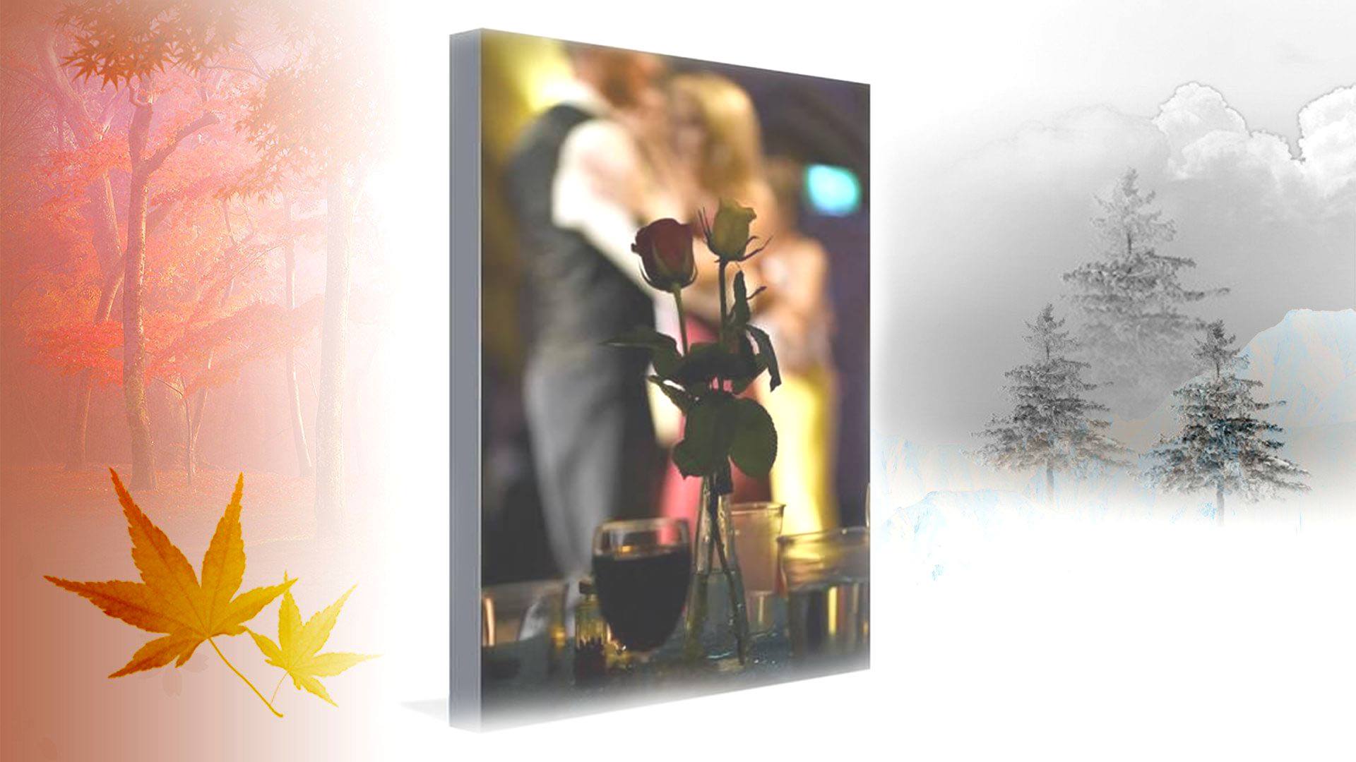 Last Tango Lessons&Practica of 2021 Dec 14th, 7.30 in Plymouth