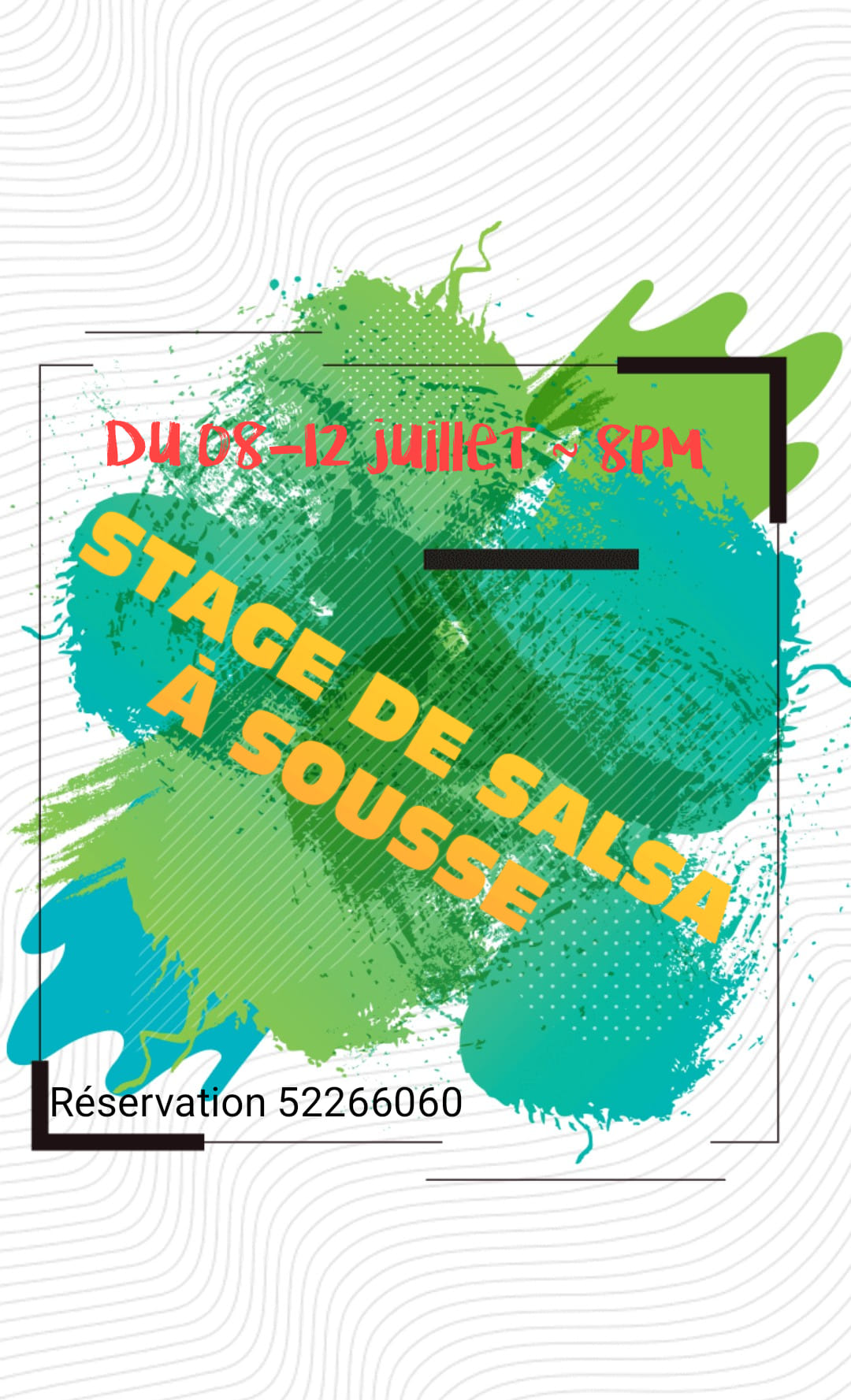 Stage D'été : SALSA