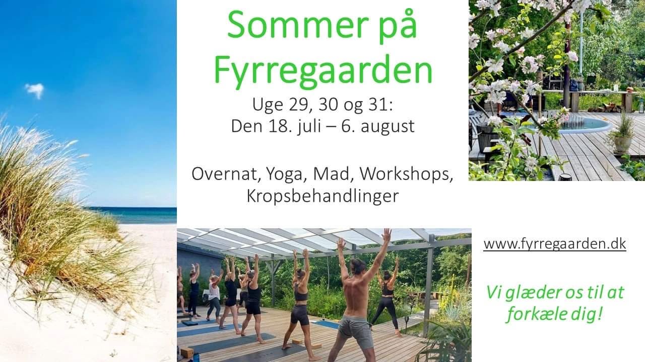 Sommer på Fyrregården 2023 - Drop-In Retreat