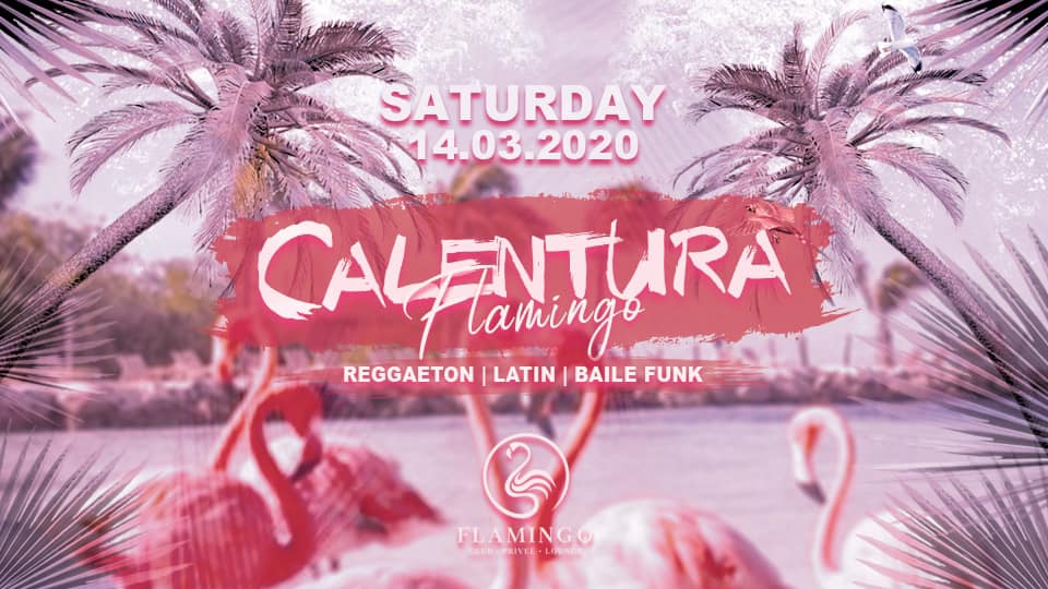 14.03 CALENTURA Flamingo Club