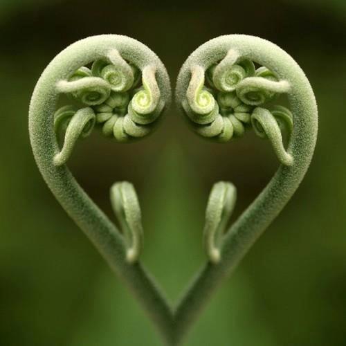 Ecstatic Dance and Overnight - Mystic Heart Emergence