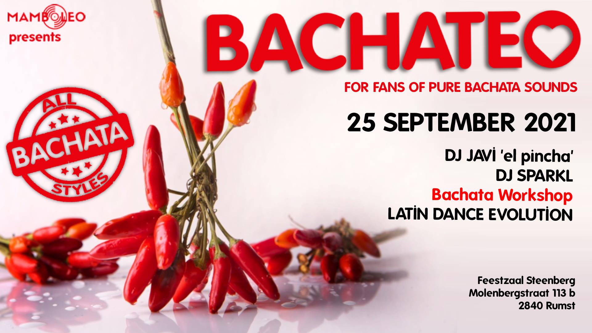 BACHATEO!