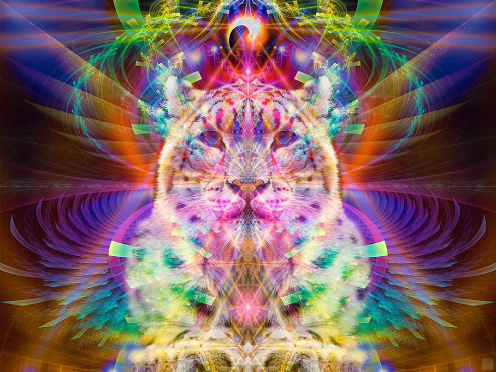 7 25 Sunday Morning Ecstatic Dance with Bass Temple
