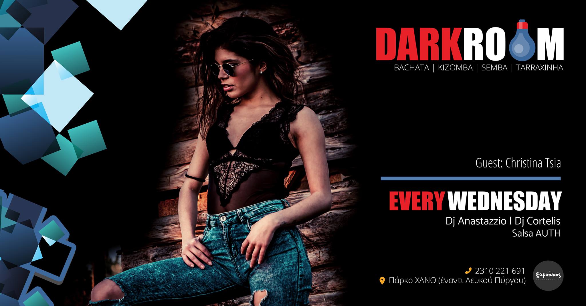 DARK ROOM - Wild Feelings