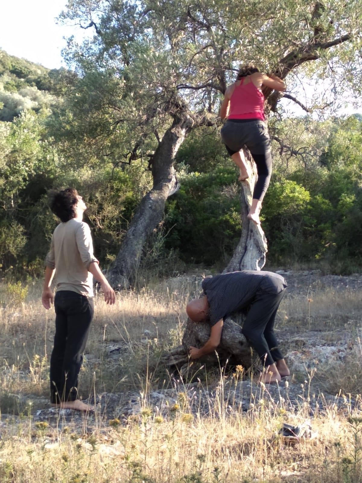 22 09 miniTuning into the Wild
