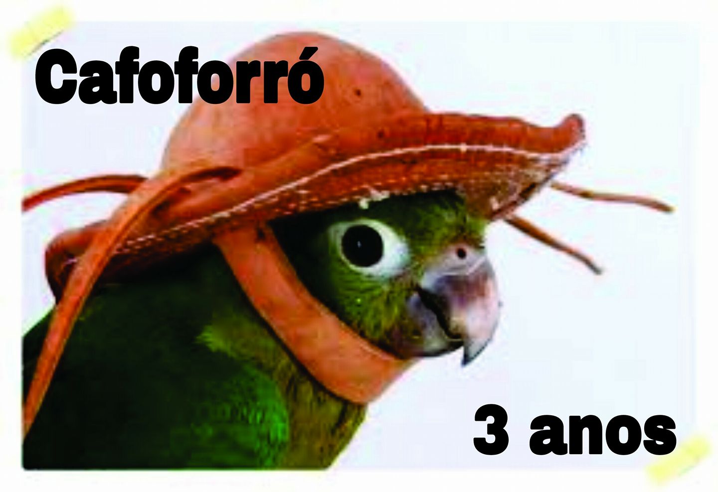 Cafoforró - Edição de Aniversário