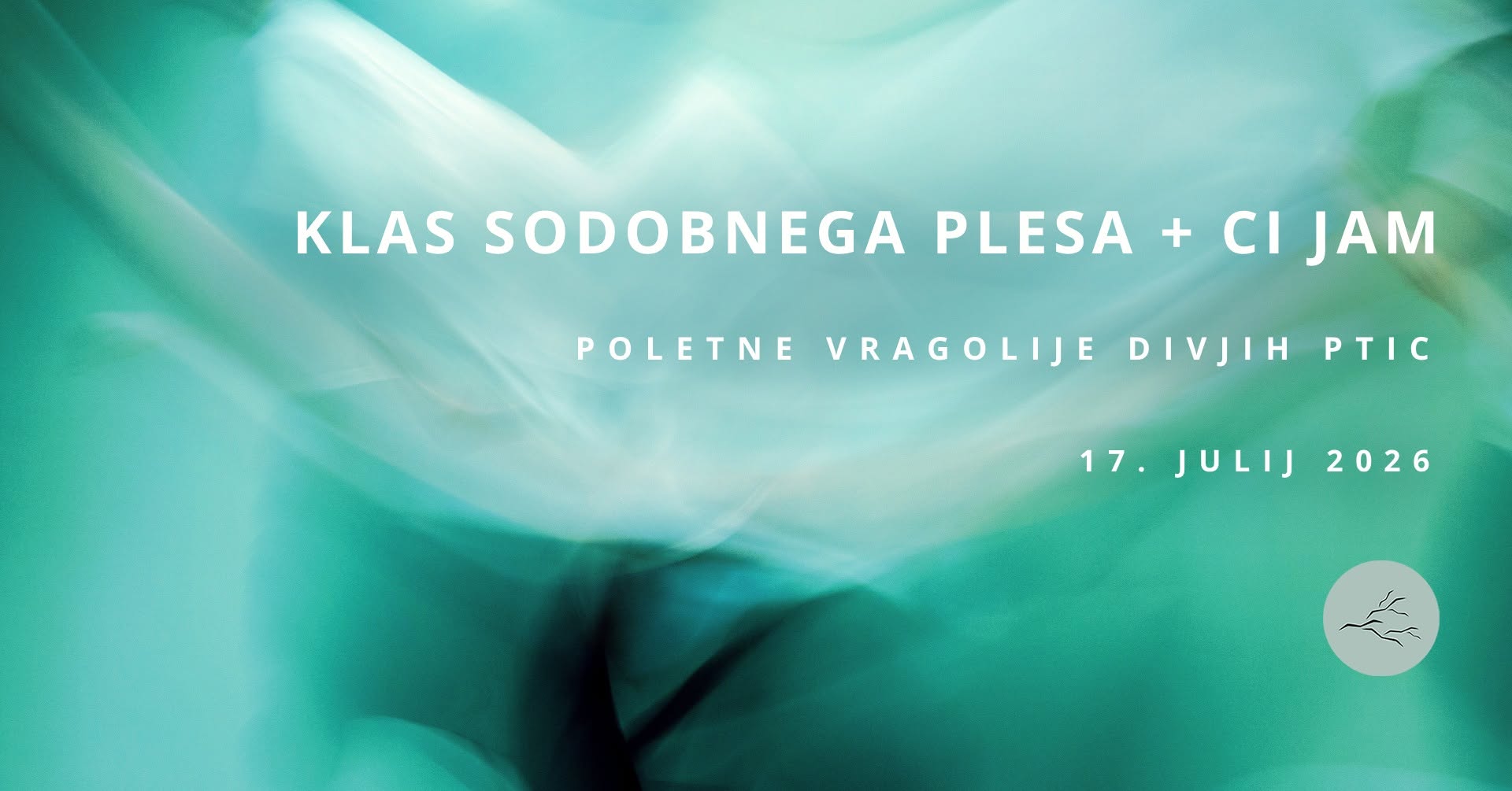 Klas sodobnega plesa + CI jam Poletne vragolije Divjih ptic