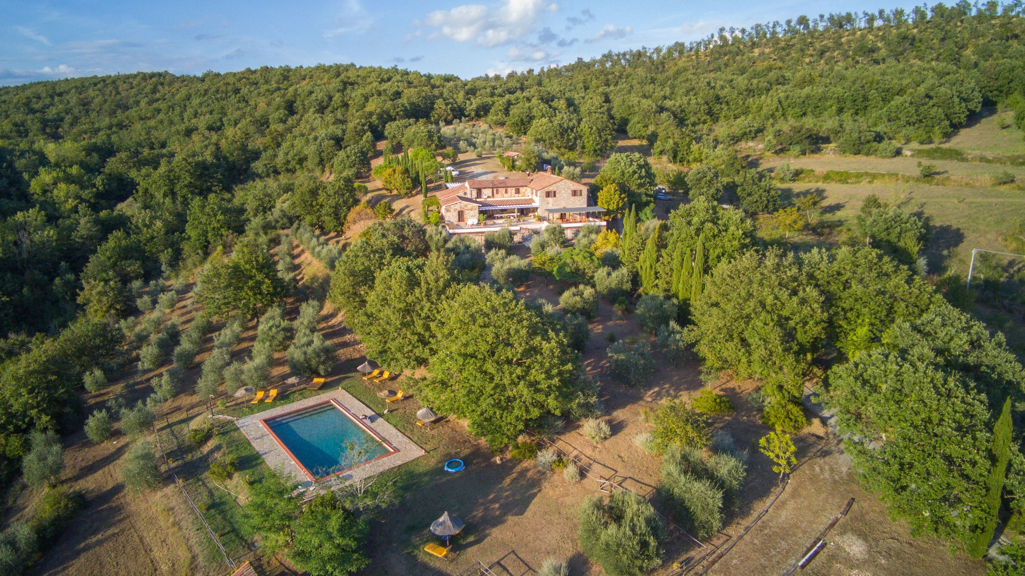 Biotango in paradise