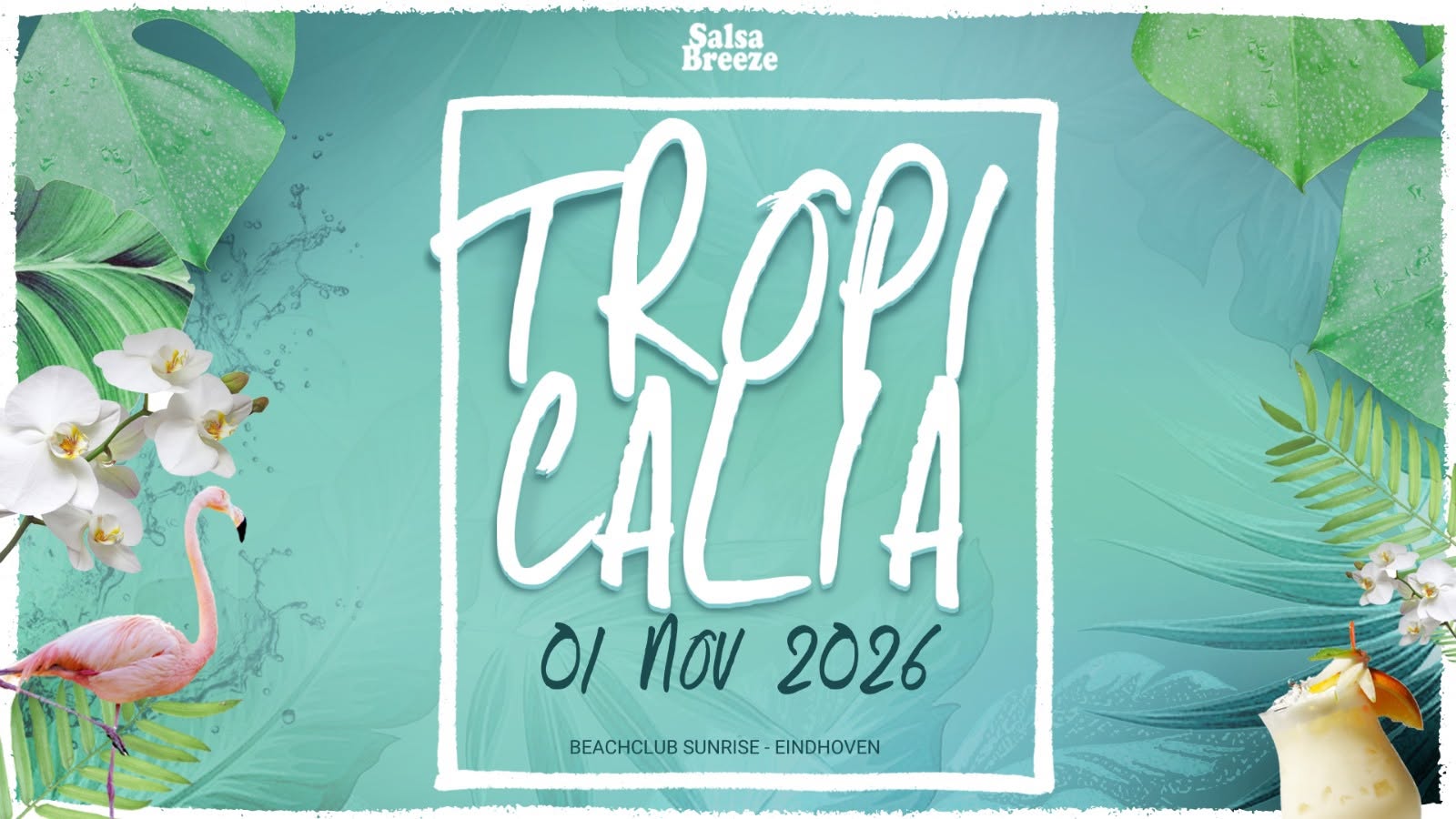 TROPICALIA 01.11.2026 Eindhoven Beachclub Sunrise