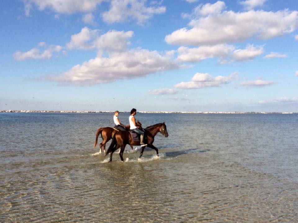Tangourlaub Ostern auf Djerba