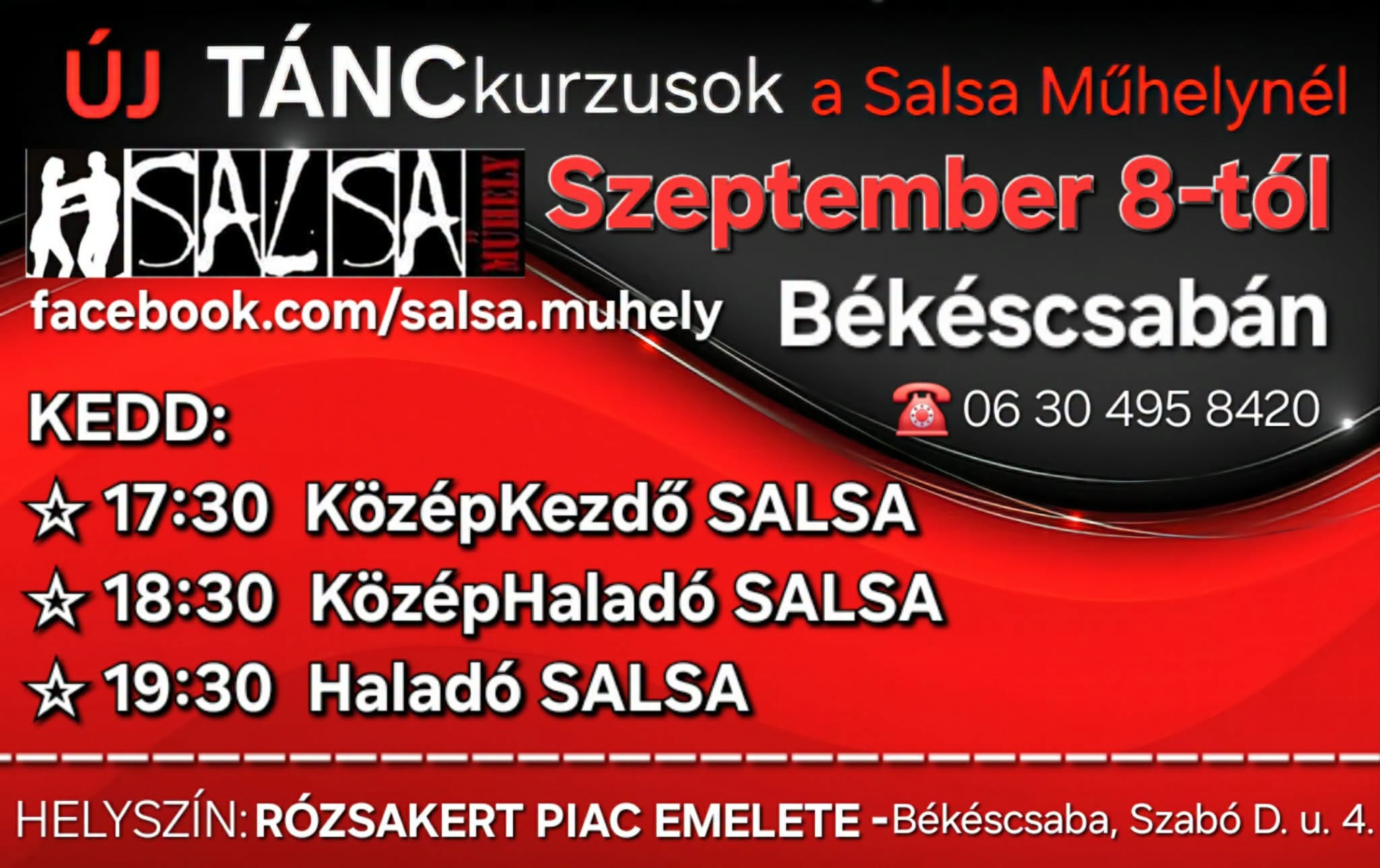 KözépKezdő, KözépHaladó, Haladó SALSA kurzusok