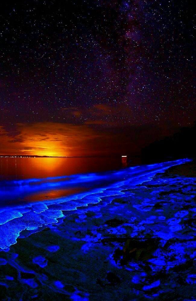 PUERTO ESCONDIDO EXÓTICO 2025 VACACIONES PARA TODA LA FAMILIA