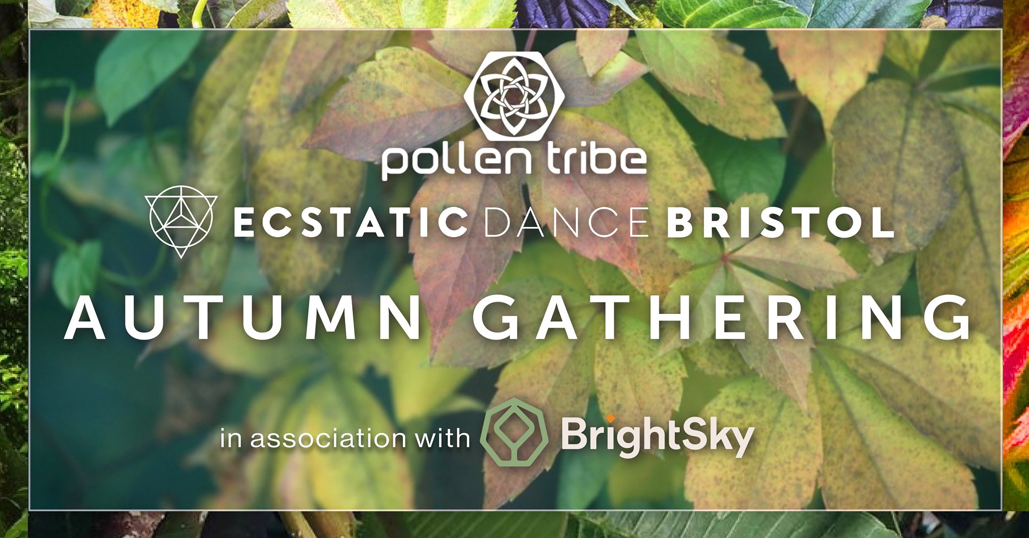 SOLD OUT Ecstatic Dance Bristol & Pollen Tribe: Autumn Gathering