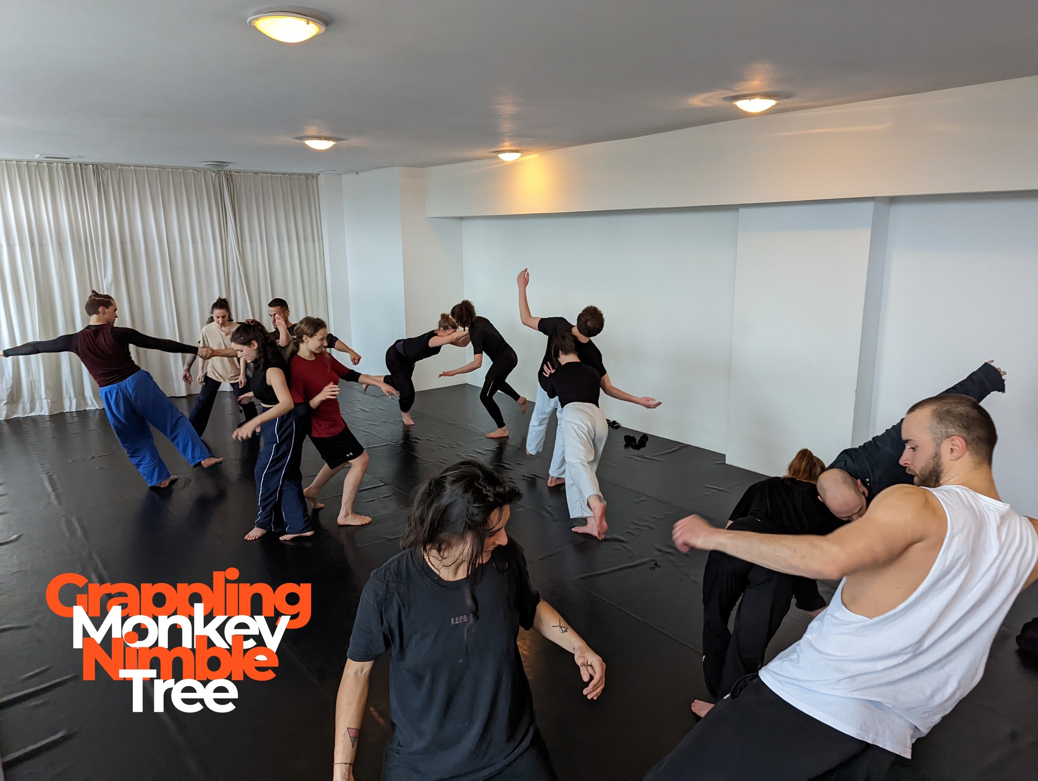 Grappling Monkey Nimble Tree - PlayDanceFight Research