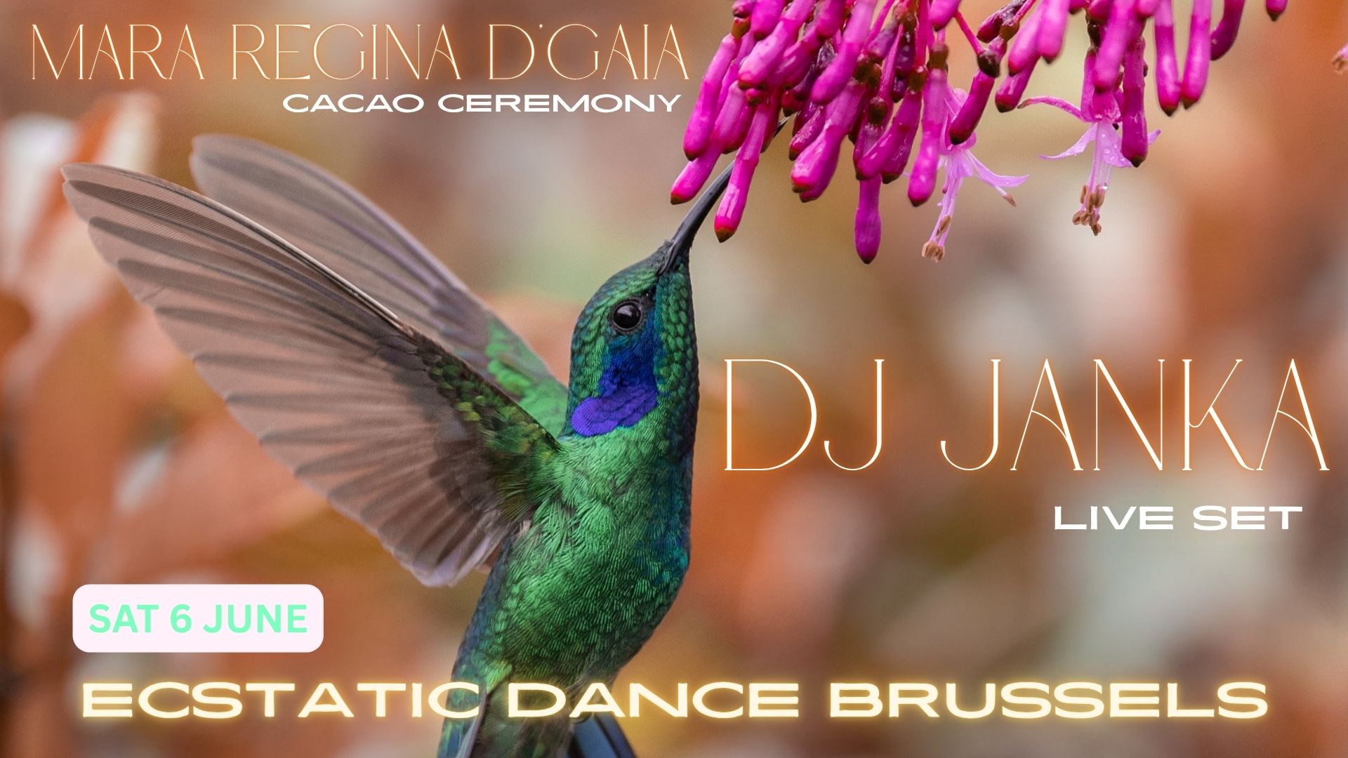 ECSTATIC DANCE BRUSSELS โก DJ JANKA โก CACAO โก REGINA D'GAIA