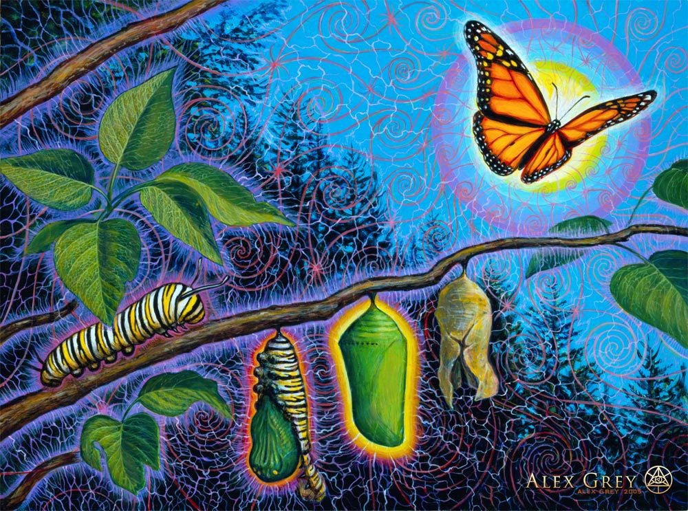 Rhythm Sanctuary ~ Ode to Spring ~ W ORPHEUS