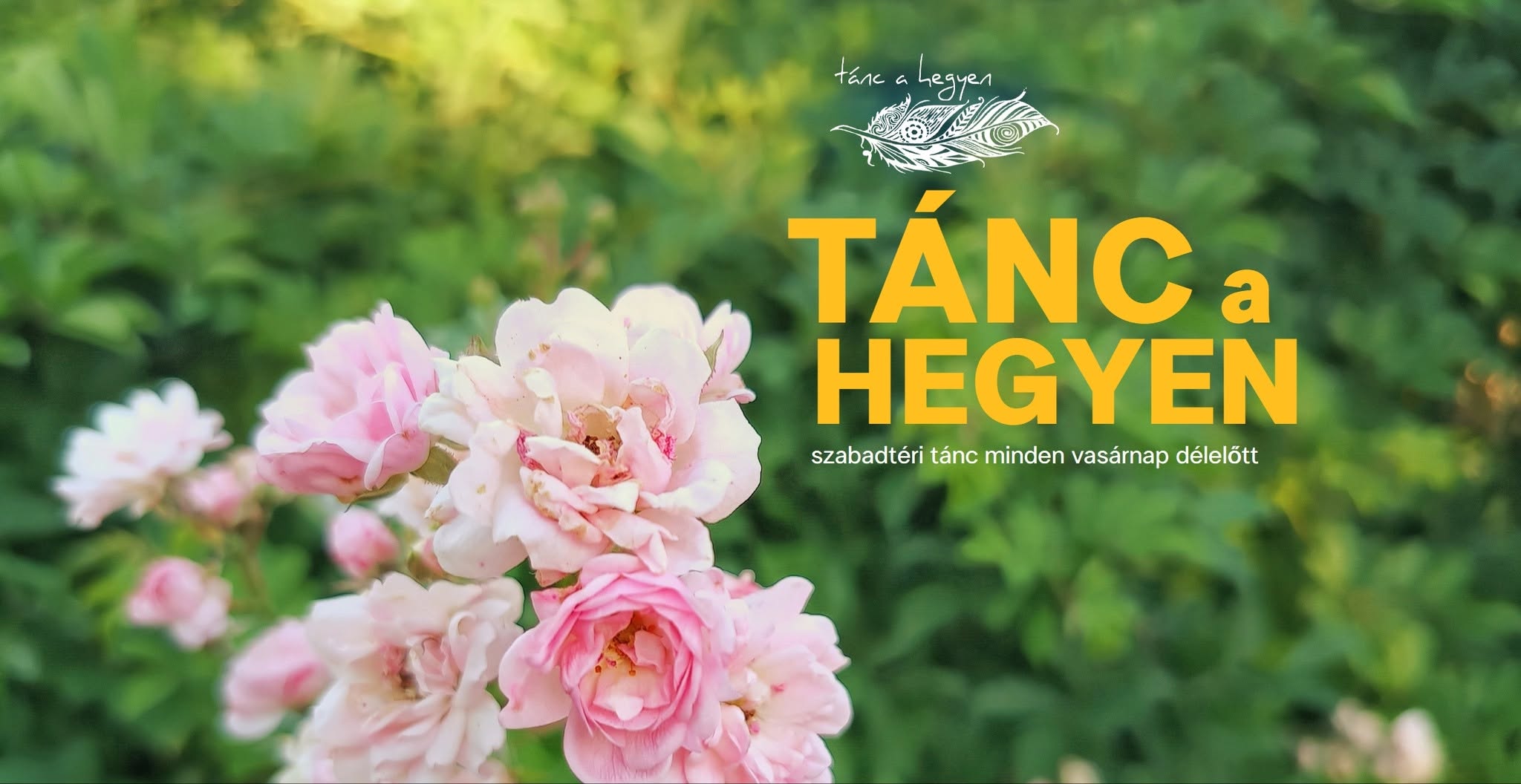 Tánc a hegyen