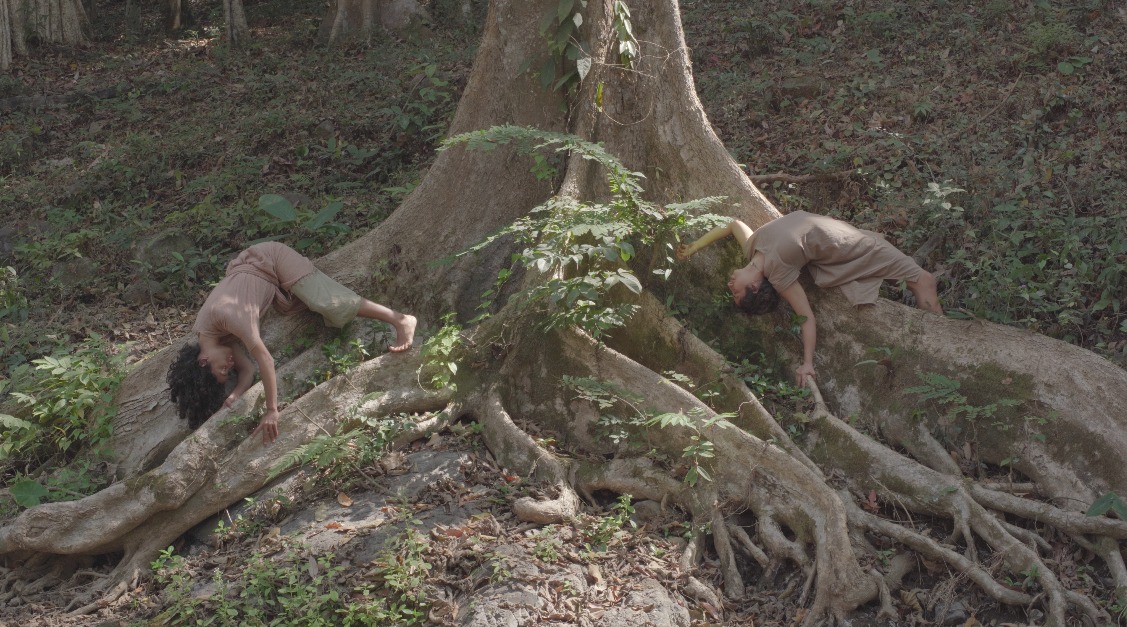 FUERZAS 🌱 Retiro: Cuerpo, Danza y Naturaleza 🌱 ecosomáticas & Contact improvisación