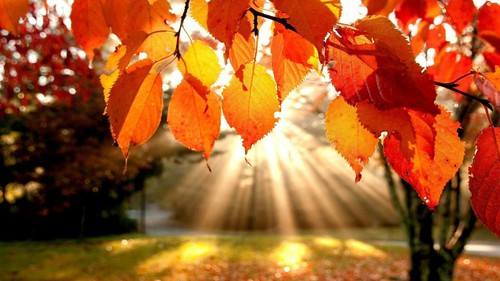 AUTUMN WIFF 20 sept