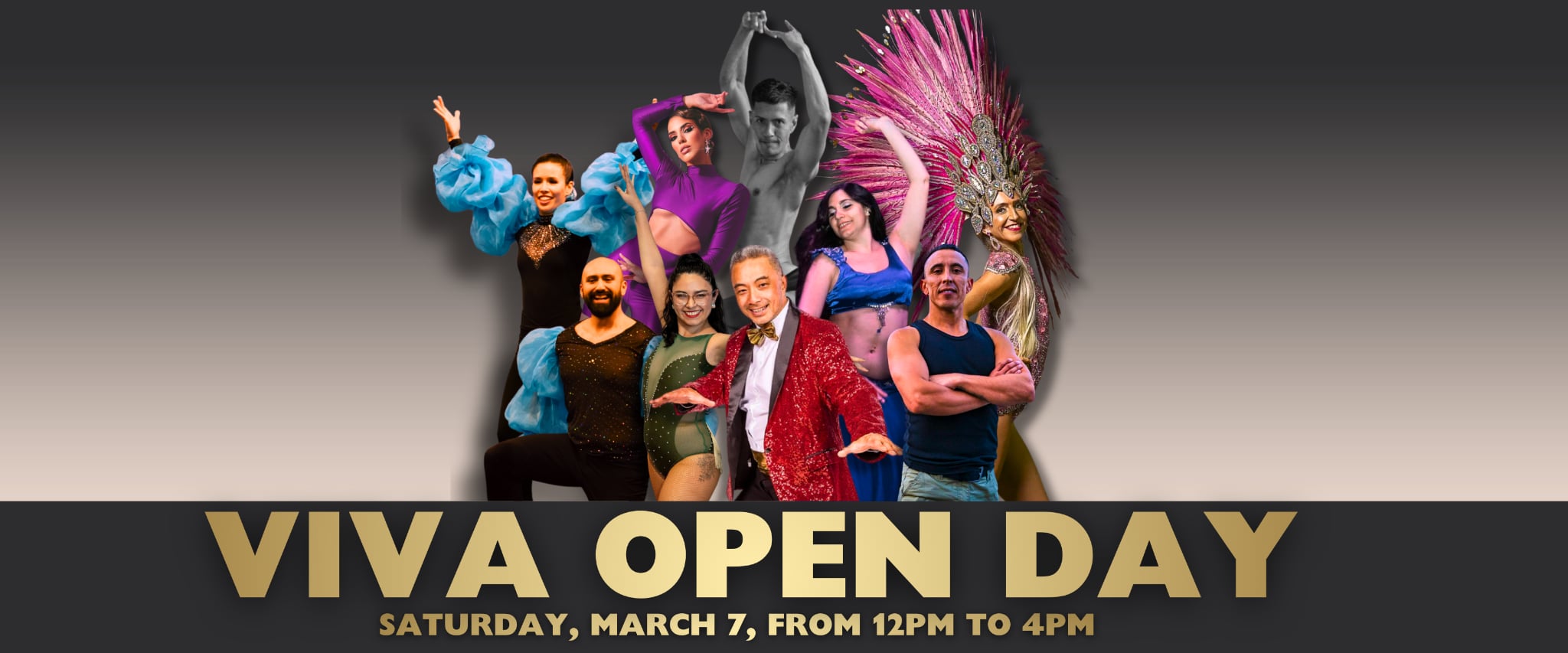 Viva Open Day