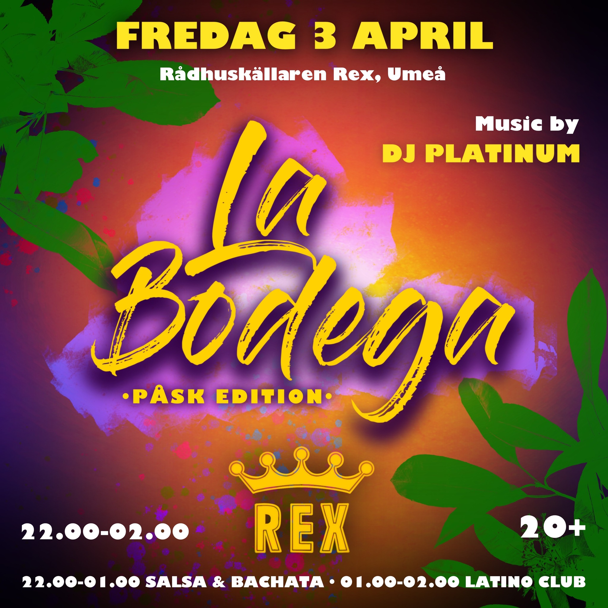 đŁLA BODEGA x REX x PĂ
SK EDITIONđŁ