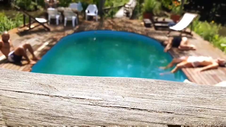 Retiro DanzAnfibiA en la Isla del Tigre 7,8 y 9 de Febrero