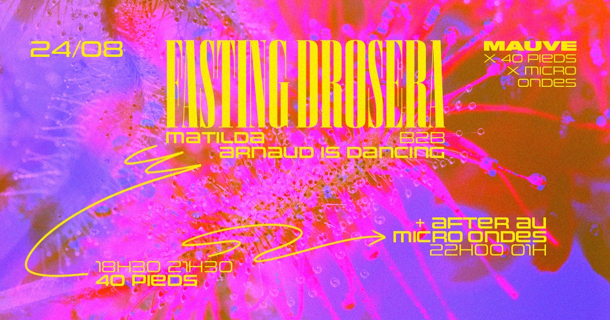 FASTING DROSERA MAUVE Open air @40 Pieds + After @Micro Ondes
