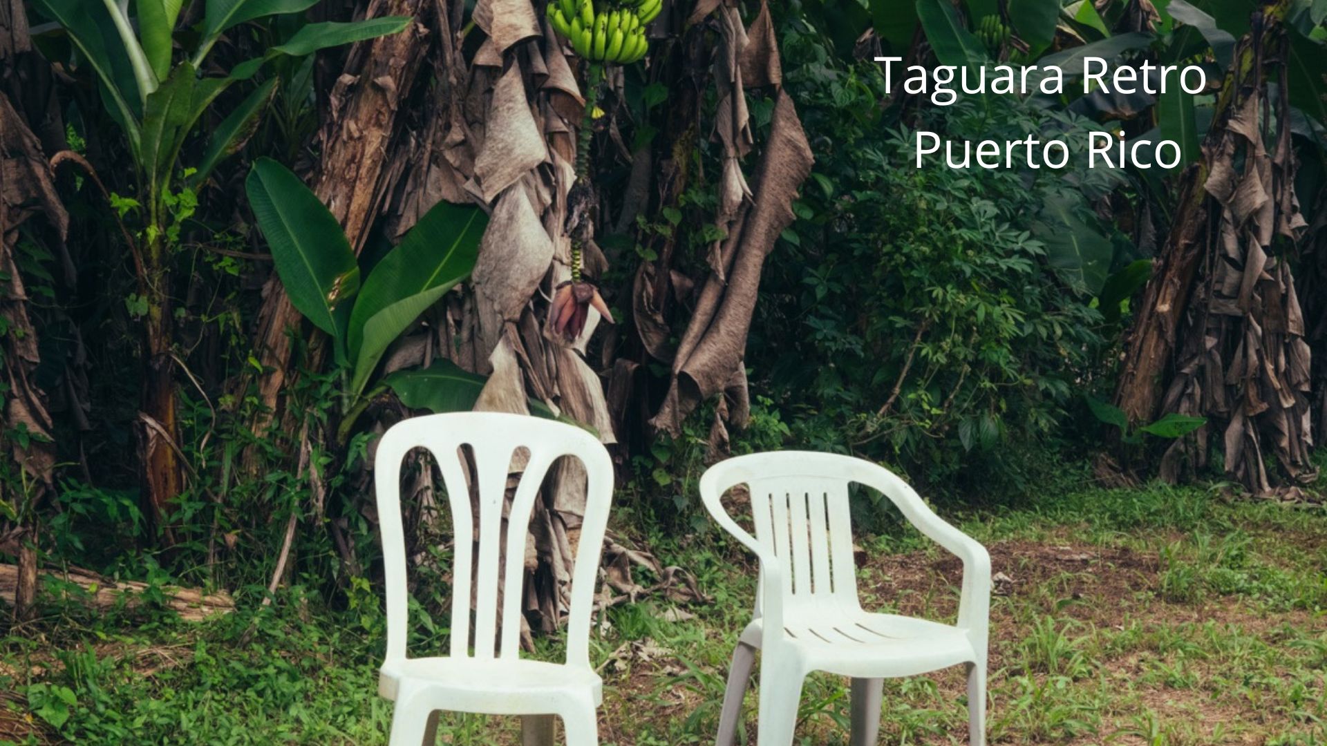 Taguara Retro - Puerto Rico