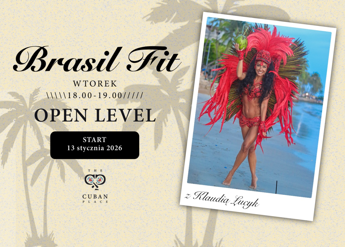 BRASIL FIT