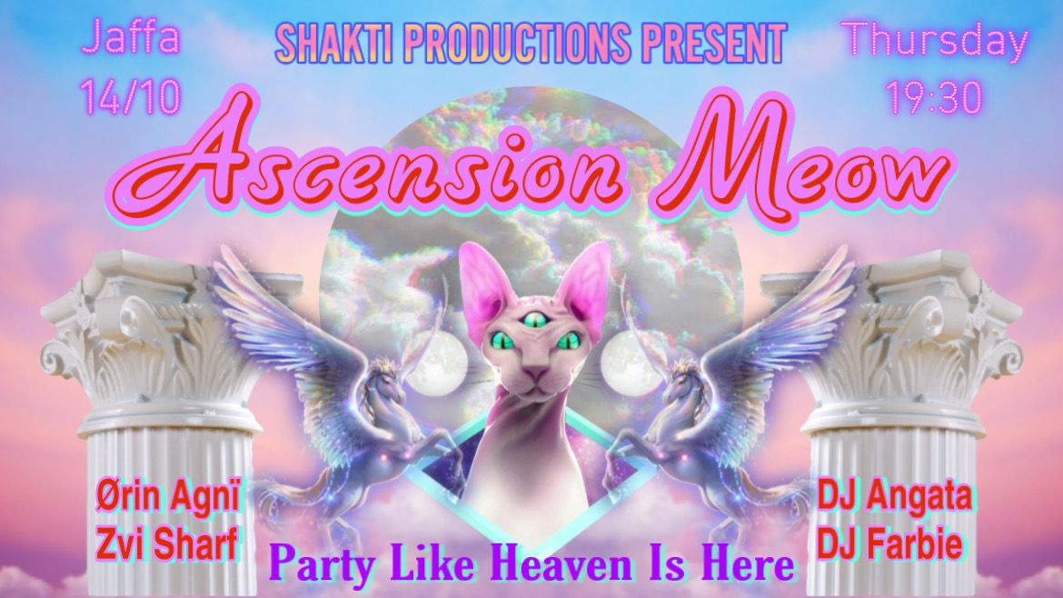 ..:: Ascension Meow ::.. Party like Heaven is Here. Jaffa.