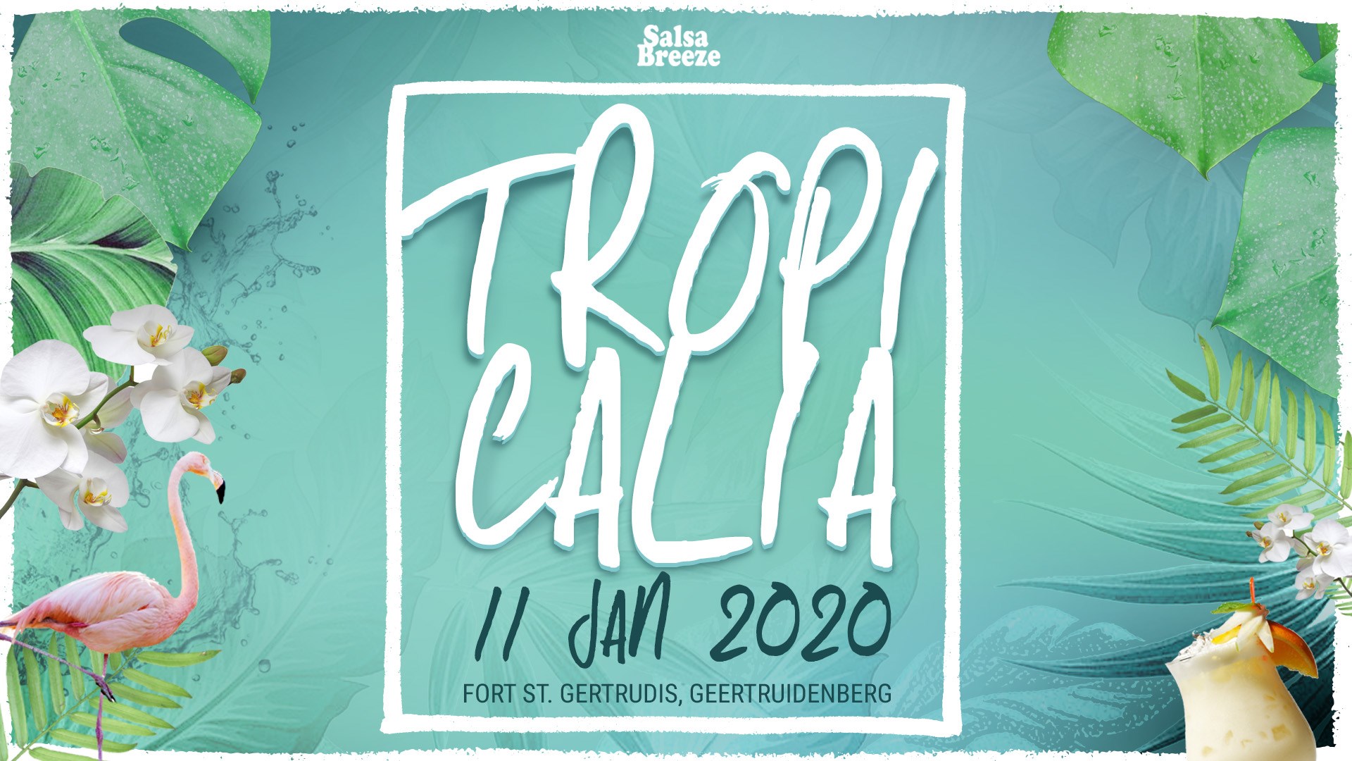 Tropicalia 22.12.2018 Geertruidenberg