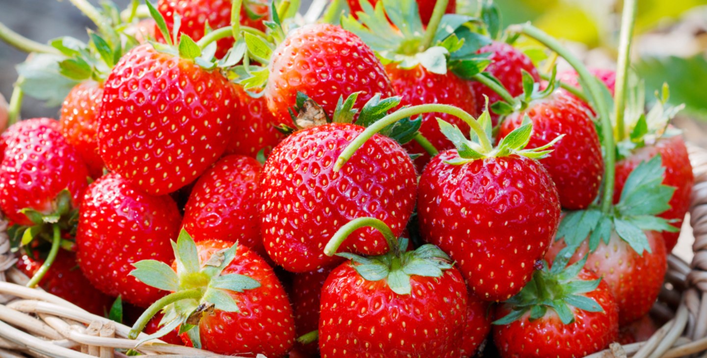 Soirée Fraises Dress Code Rouge & Blanc
