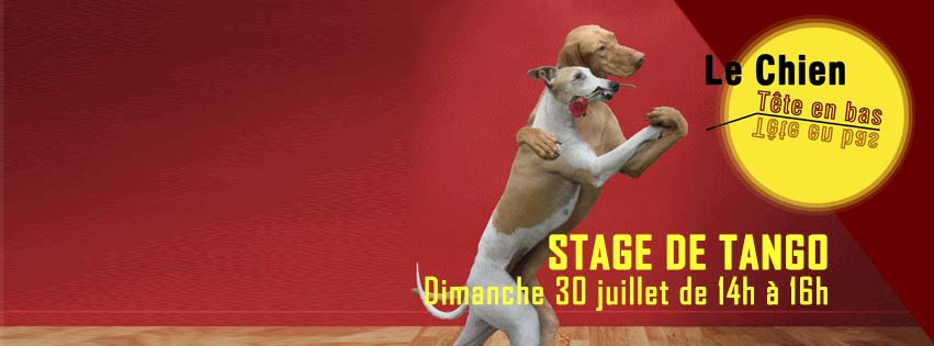 Stage de TANGO