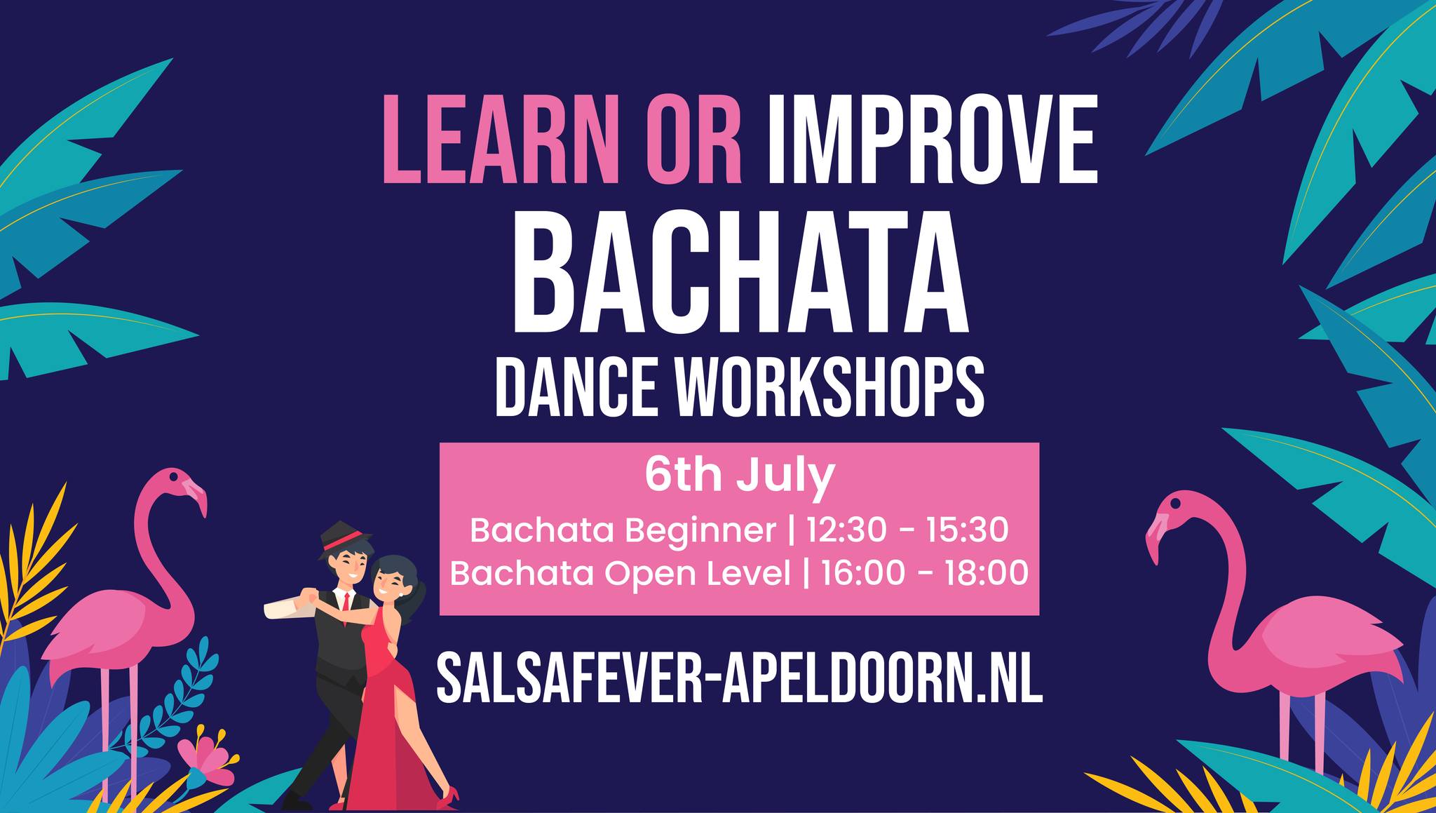 Bachata Bootcamp In Apeldoorn Salsafever Apeldoorn