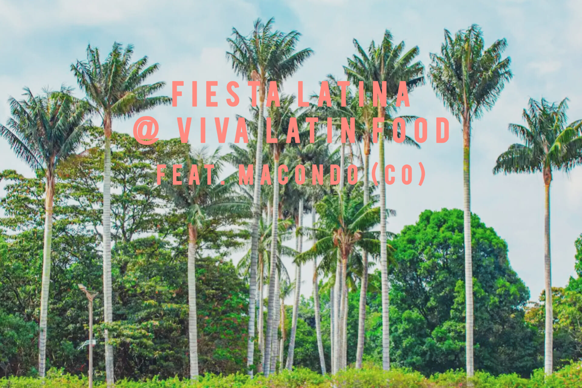 Latin Party @ Viva Latin Food - Feat. Macondo (CO)