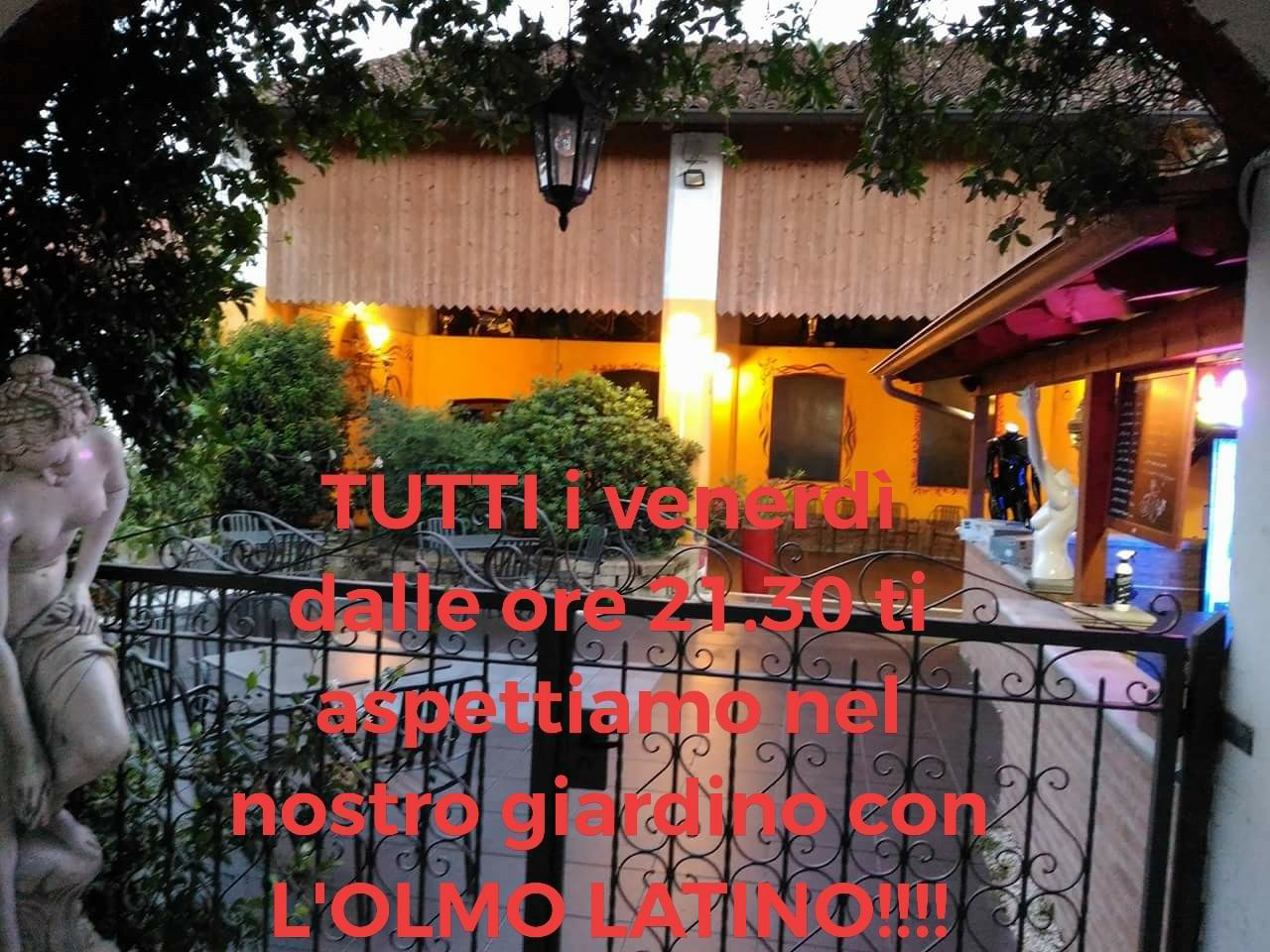 L'OLMO LATINO.......ARRIVA AL CUORE!!!