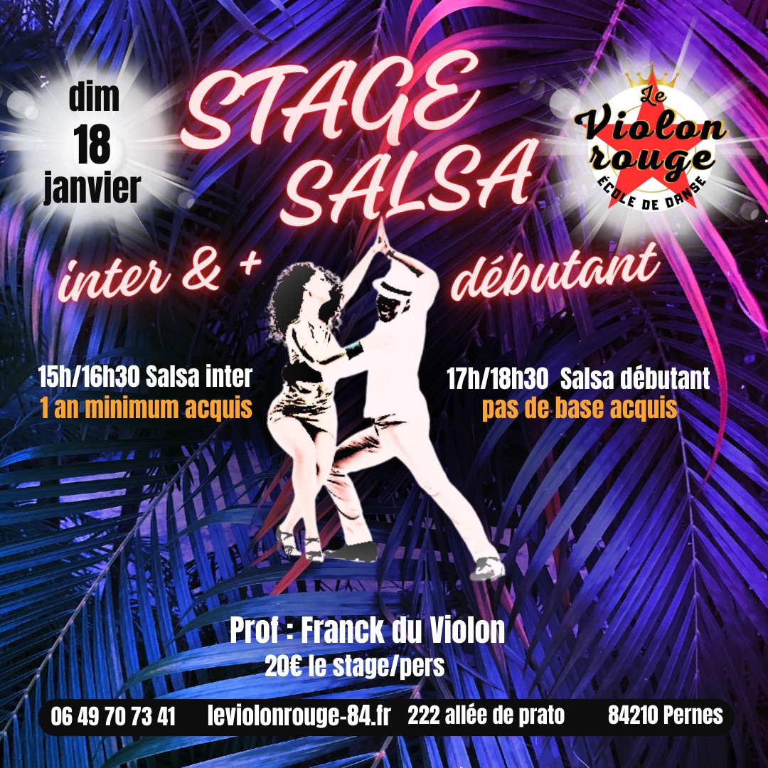 Stage Salsa Cubaine débutant et inter avec Franck du Violon Rouge