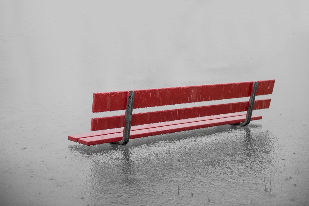CENTRAL PARK SWINGS CANCELLED