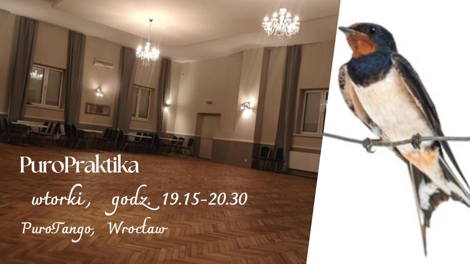 PuroPraktika