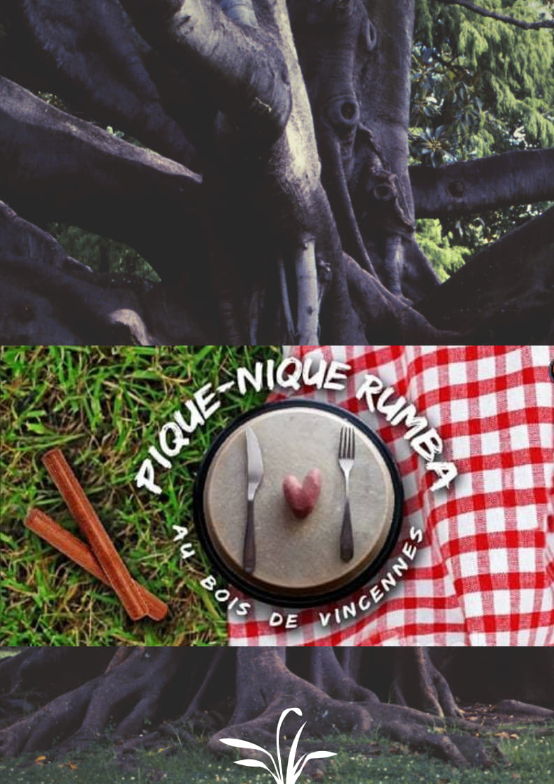 Pique Nique