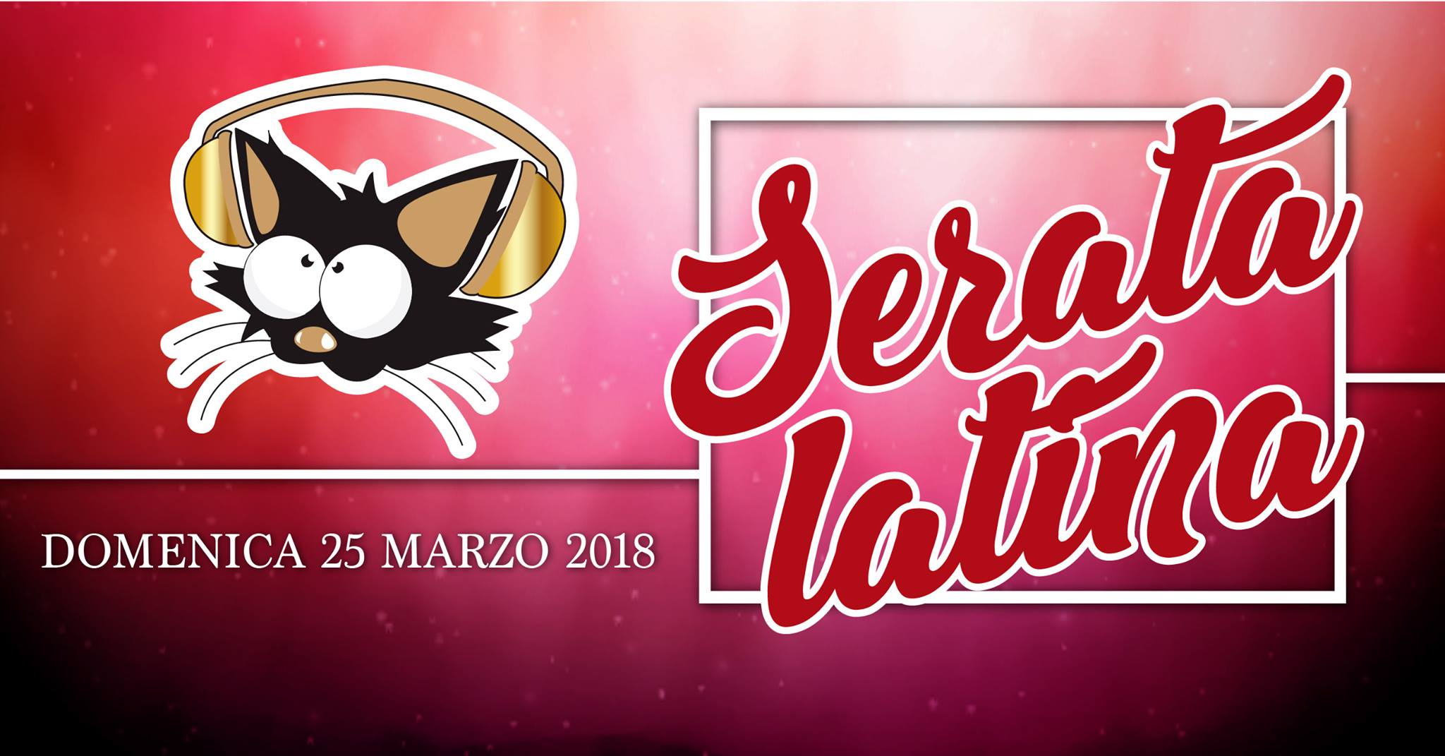 Gattomatto Latino Domenica 25 Marzo