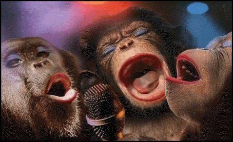 Soirée Karaoke #oncompteplus au ZAK BAR (Métro Ménilmontant)