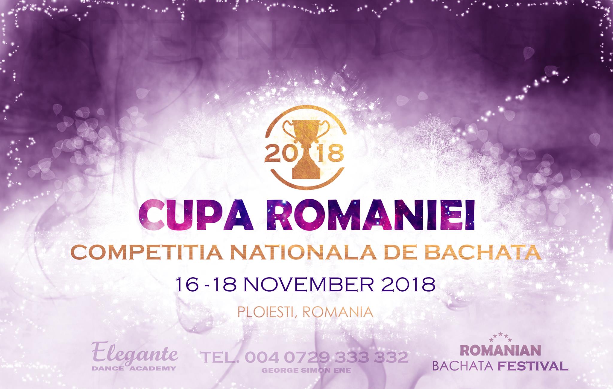 Art for You merge la Romanian Bachata Festival