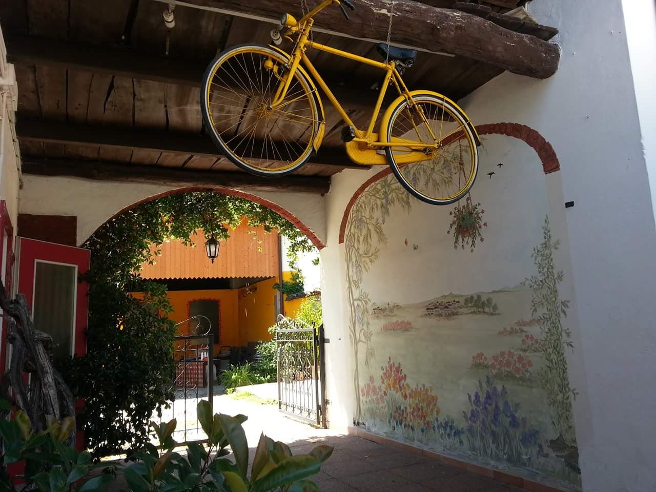 OLMO Latino SOTTO LE Stelle !